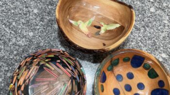 Two resin bowls and a natural wood bowl