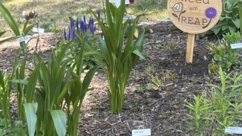Garden sign with ground post